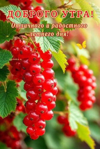 Открытка ДОБРОГО УТРА! ОТЛИЧНОГО И РАДОСТНОГО ЛЕТНЕГО ДНЯ!