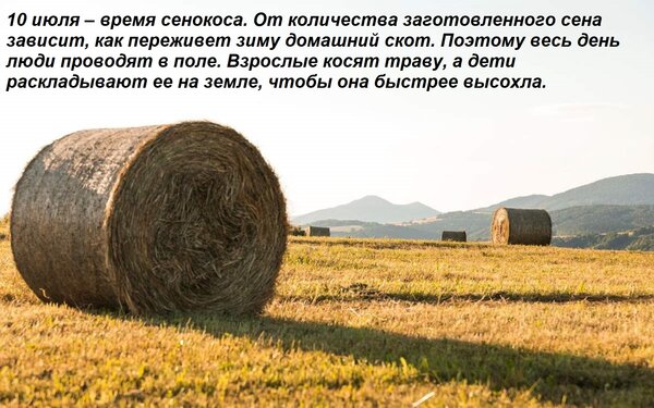 Открытка 10 июля – время сенокоса. От количества заготовленного сена зависит, как переживет зиму домашний ско