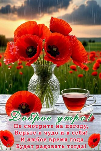 Открытка ДОБРОЕ УТРО! НЕ СМОТРИТЕ НА ПОГОДУ, ВЕРЬТЕ В ЧУДО И В СЕБЯ! И ЛЮБОЕ ВРЕМЯ ГОДА БУДЕТ РАДОВАТЬ ТОГДА!