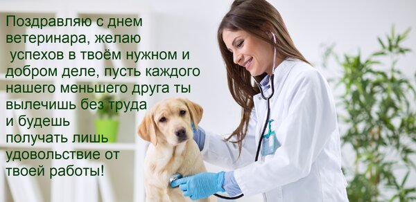Открытка Поздравляю с днем ветеринара, желаю успехов в твоём нужном и добром деле, пусть каждого нашего меньш