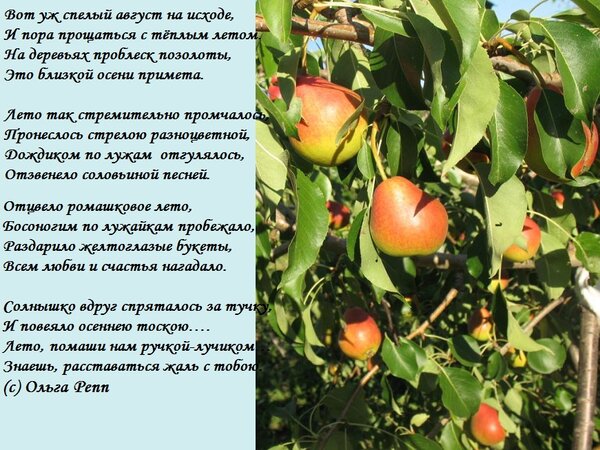 Открытка вот уж спелый август на исходе