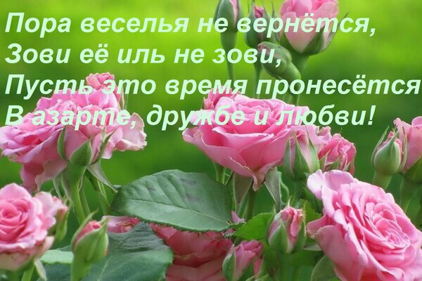 Открытка Пора веселья не вернётся, Зови её иль не зови, Пусть это время пронесётся В азарте, дружбе и любви!