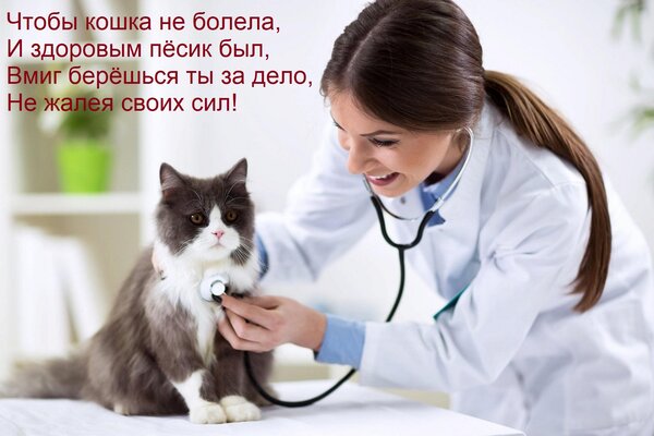 Открытка Чтобы кошка не болела, И здоровым пёсик был, Вмиг берёшься ты за дело, Не жалея своих сил!