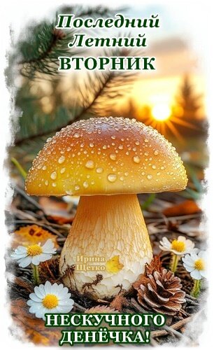 Открытка Последний летний вторник