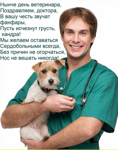 Открытка Нынче день ветеринара, Поздравляем, доктора, В вашу честь звучат фанфары, Пусть исчезнут грусть, хан