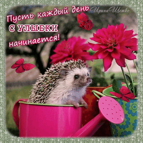 Анимированная открытка Доброго дня!