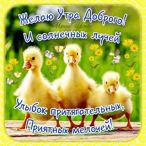 Анимированная открытка Доброе утро!