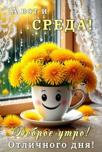 Открытка А ВОТ И СРЕДА! ДОБРОЕ УТРО! ОТЛИЧНОГО ДНЯ!