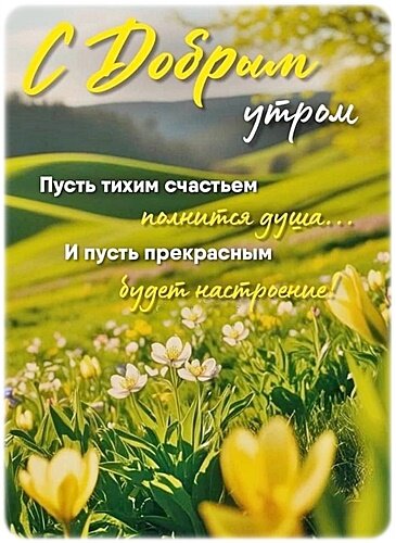 Открытка Доброе утро!