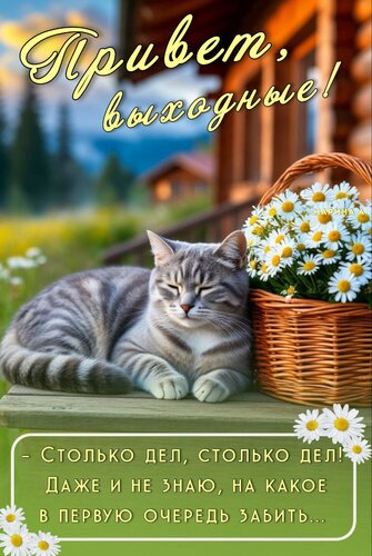Открытка ПРИВЕТ ВЫХОДНЫЕ, - СТОЛЬКО ДЕЛ, СТОЛЬКО ДЕЛ! ДАЖЕ И НЕ ЗНАЮ, НА КАКОЕ В ПЕРВУЮ ОЧЕРЕДЬ ЗАБИТЬ...