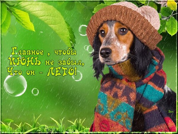 Открытка главное чтоб июнь не забыл что он лето