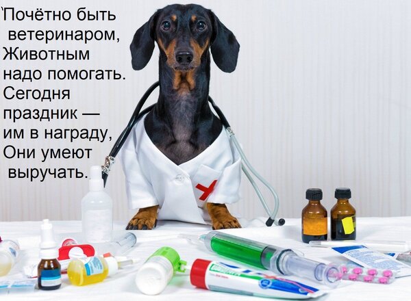 Открытка Почётно быть ветеринаром, Животным надо помогать. Сегодня праздник — им в награду, Они умеют выручат