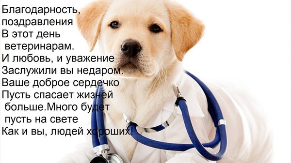 Открытка Благодарность, поздравления В этот день ветеринарам. И любовь, и уважение Заслужили вы недаром. Ваше