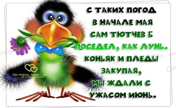 Открытка с таких погод в начале мая сам Тютчев поседел как лунь