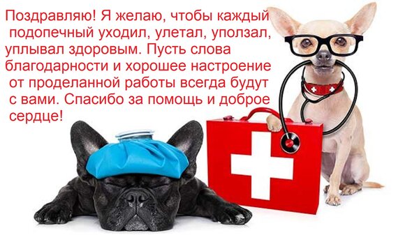 Открытка Поздравляю! Я желаю, чтобы каждый подопечный уходил, улетал, уползал, уплывал здоровым. Пусть слова