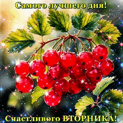 Анимированная открытка Самого лучшего дня!, Счастливого вторника!