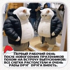 Красивые Летние Картинки С Днем Рождения