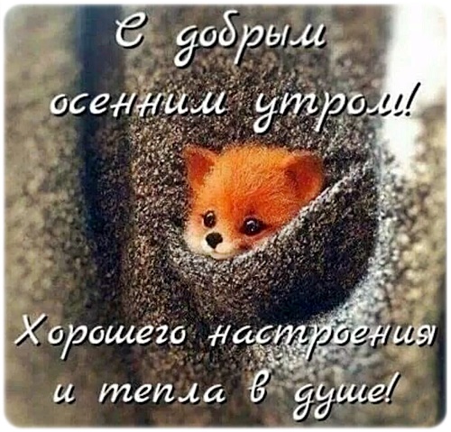 Открытка Доброе утро!