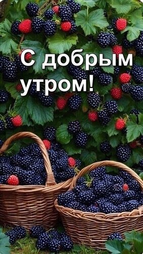 Открытка с добрым утром