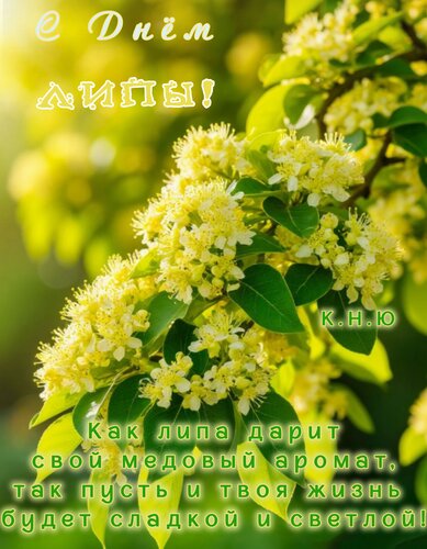 Открытка С днём липы.