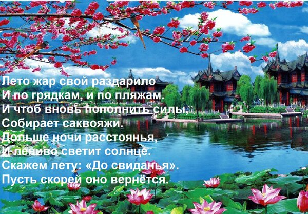Открытка Лето жар свой раздарило И по грядкам, и по пляжам. И чтоб вновь пополнить силы, Собирает саквояжи. Д