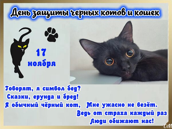 Открытка день котов 3