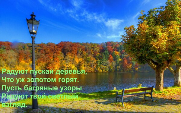 Открытка Радуют пускай деревья, Что уж золотом горят. Пусть багряные узоры Радуют твой светлый взгляд.
