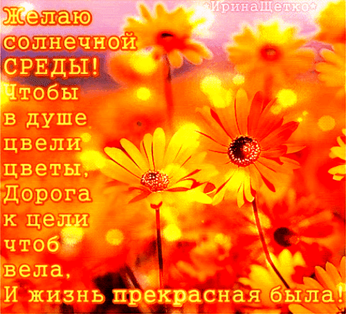 Анимированная открытка Желаю солнечной среды!