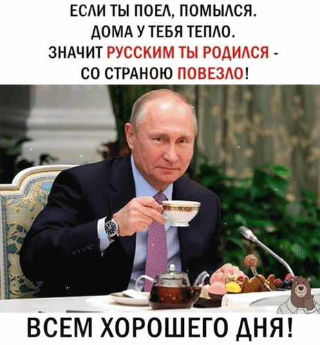 Анимированная открытка Всем хорошего дня! Если ты поел, помылся. Дома у тебя тепло. Значит, русским ты родился - со страною