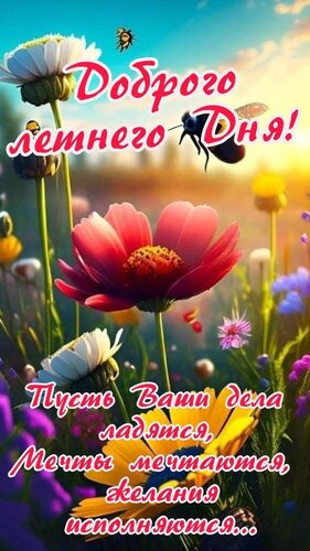 Открытка доброго летнего дня