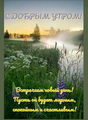Открытка Встречаем новый день! Пусть он будет мирным, спокойным и счастливым!