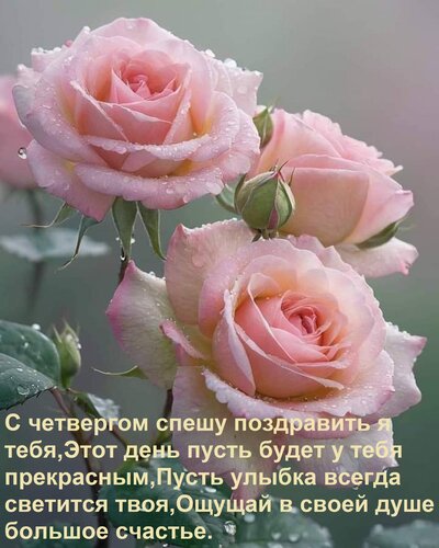 Открытка С четвергом спешу поздравить я тебя, Этот день пусть будет у тебя прекрасным, Пусть улыбка всегда св