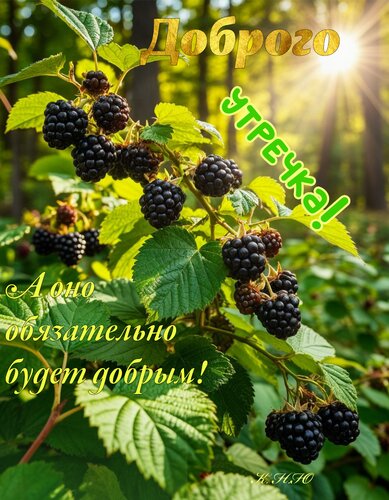 Открытка Доброго утречка.