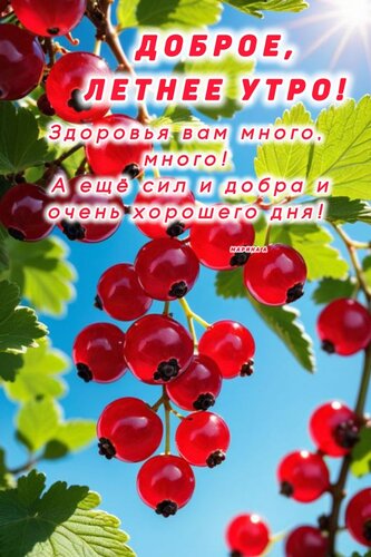 Открытка ДОБРОЕ, ЛЕТНЕЕ УТРО! ЗДОРОВЬЯ ВАМ МНОГО, МНОГО, А ЕЩЕ СИЛ И ДОБРА И ОЧЕНЬ ХОРОШЕГО ДНЯ!
