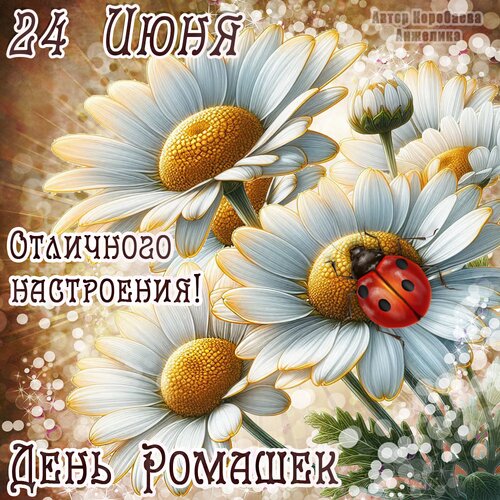 Открытка День Ромашек