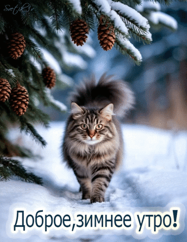 Анимированная открытка Доброе, зимнее утро!