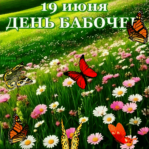Анимированная открытка День бабочек