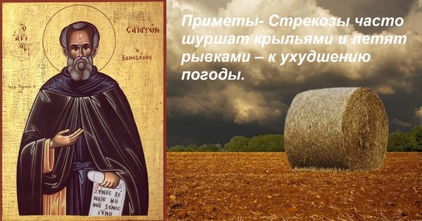 Открытка Приметы- Стрекозы часто шуршат крыльями и летят рывками – к ухудшению погоды.