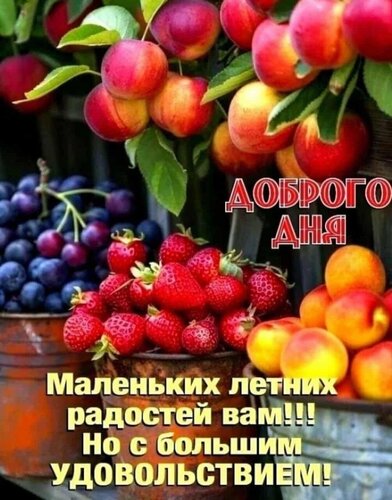 Открытка Доброго дня