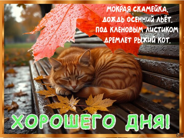 Открытка хорошего дня 23