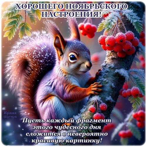 Открытка ХОРОШЕГО НОЯБРЬСКОГО НАСТРОЕНИЯ!