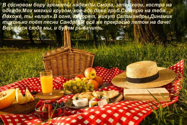 Открытка В сосновом бору ароматы надежды, Смола, запах хвои, костра на одежде. Мох мягкий кругом, кое-где даж