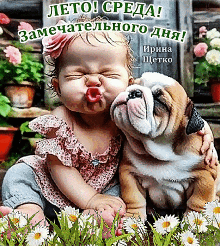 Анимированная открытка Лето, Среда!