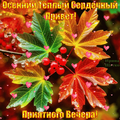 Анимированная открытка Привет!