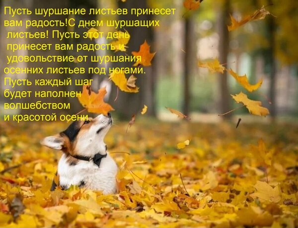 Открытка Пусть шуршание листьев принесет вам радость! С днем шуршащих листьев! Пусть этот день принесет вам р