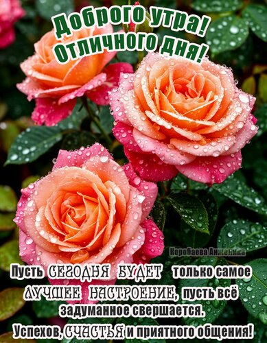 Открытка Доброе утро