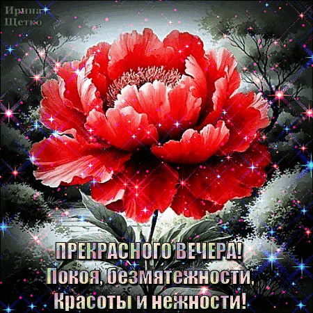 Анимированная открытка Прекрасного вечера!