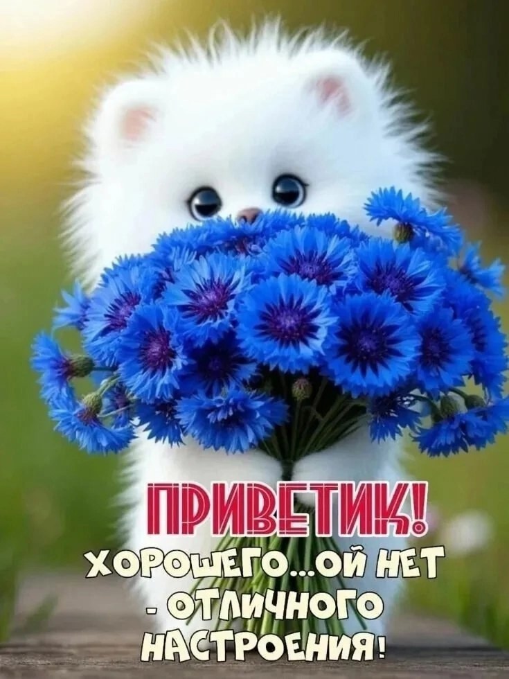 Открытка приветик