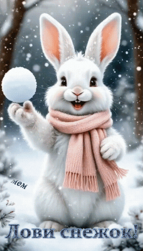 Анимированная открытка Лови снежок!