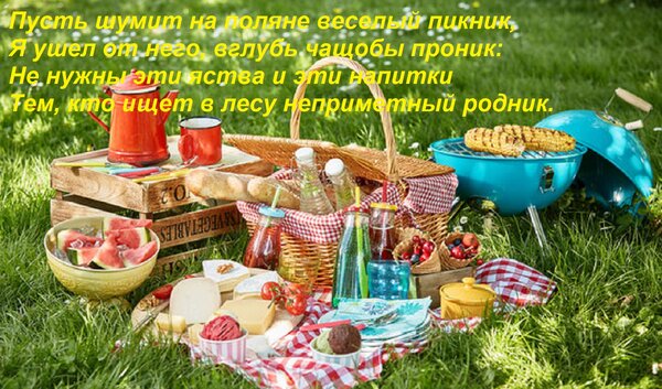 Открытка Пусть шумит на поляне веселый пикник, Я ушел от него, вглубь чащобы проник: Не нужны эти яства и эт